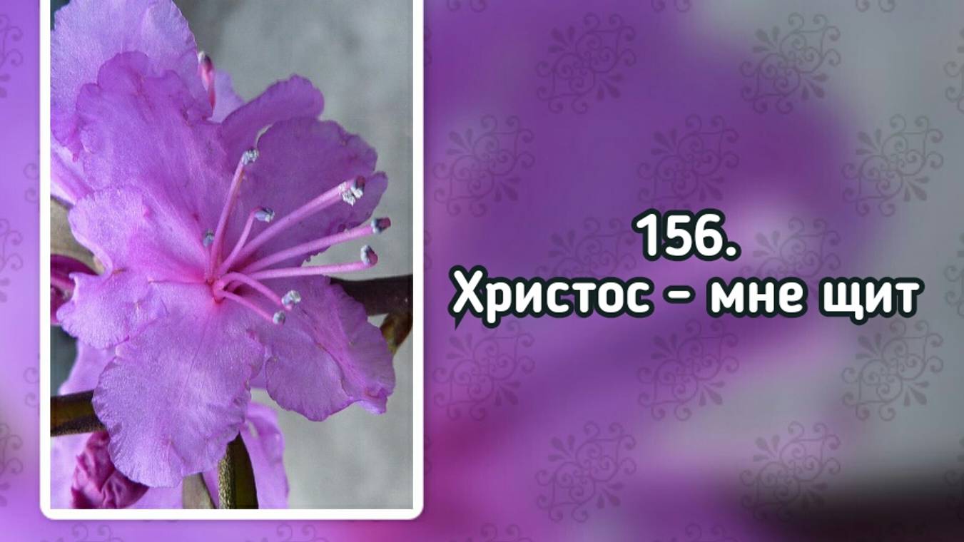 Гимны надежды 156 Христос - мне щит (-)