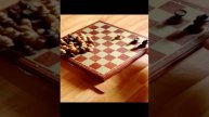 Как спасти короля от шаха и мата при игре в шахматы, лучший способ как уберечь короля лучшая позиция