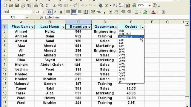 0  Excel  100
