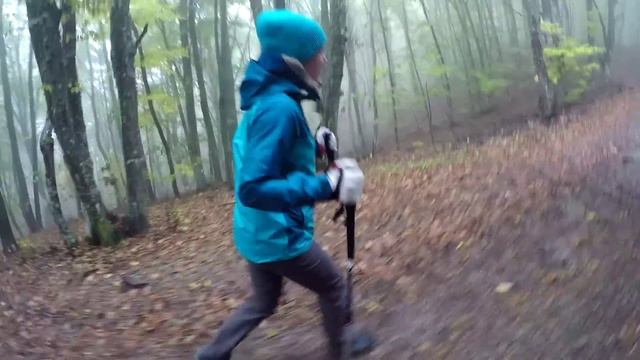 Немного о трекинговых палках (life)