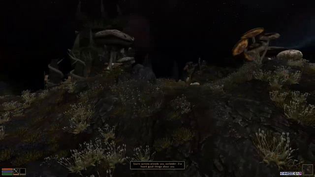 Morrowind 3.0 Part 25: Telvanni Hortator