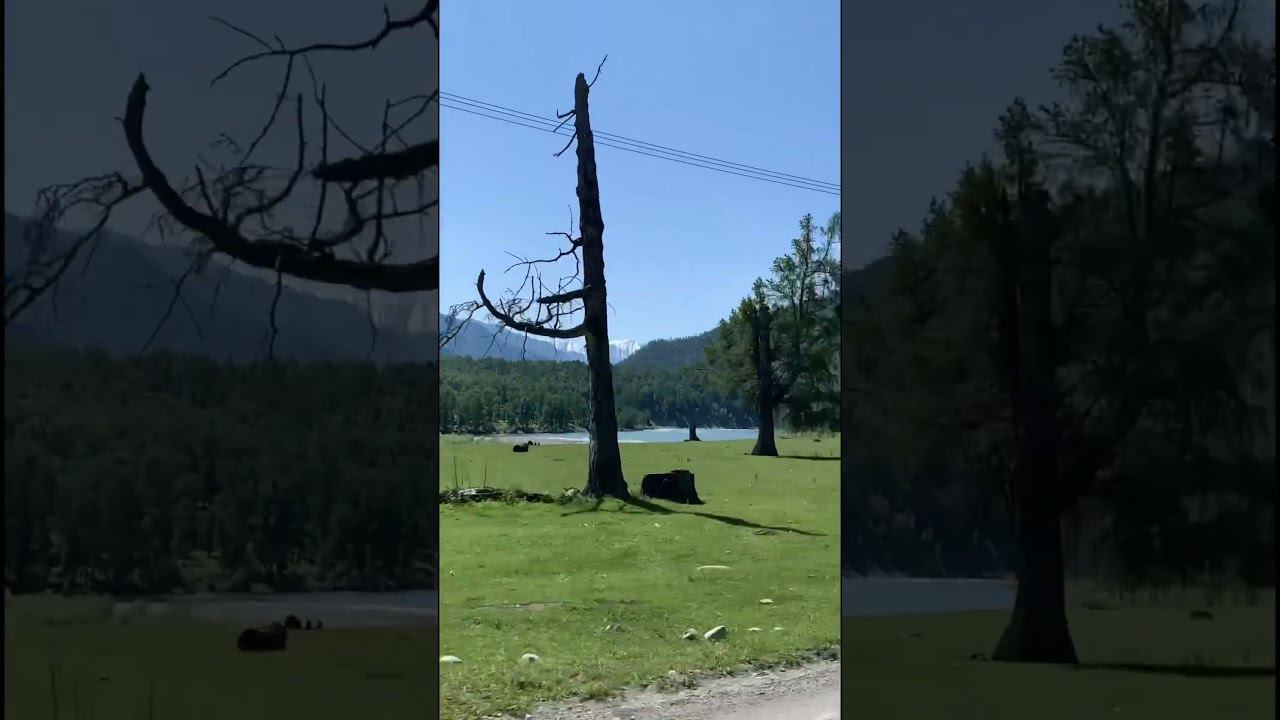 Белуха! Самая высока гора Алтая