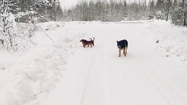 Как я с крестницей катаюсь на санках :)
