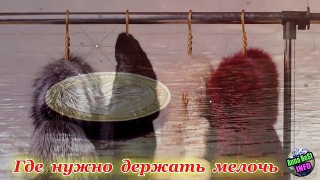 Никогда Не Оставляйте Мелочь в Этих Местах Чтобы Не Притянуть Бедность!