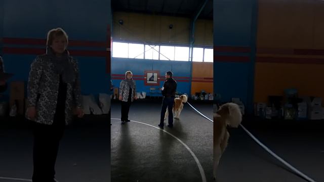 Московская Сторожевая Артемида Г.Могилев