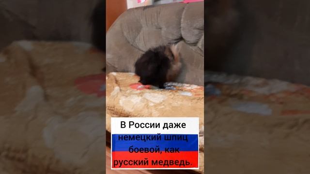 YouCut_20231225_172852314.mp4