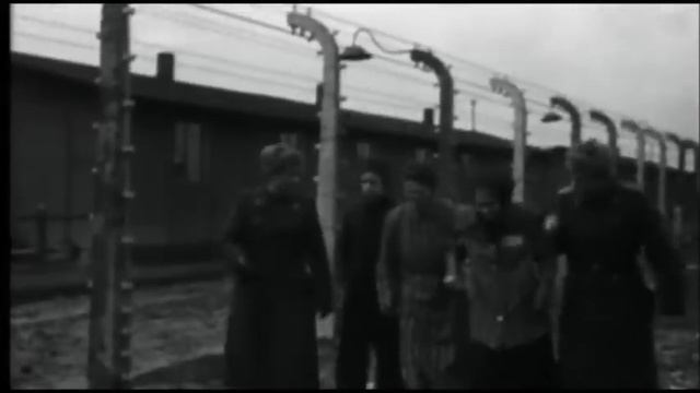 Anne Frank in Bergen-Belsen and her death