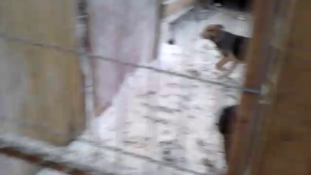 Клинский приют