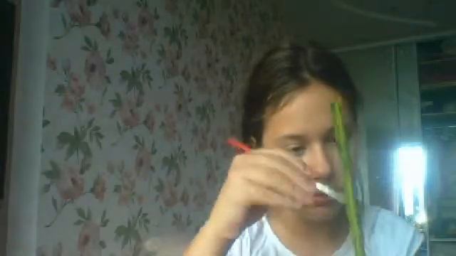 Видео с веб-камеры.как  разукрасить подставку монстер хай 1 часть