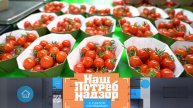 Все о тепличных томатах и проверка экокожи | «НашПотребНадзор». Выпуск от 30 марта 2024 года