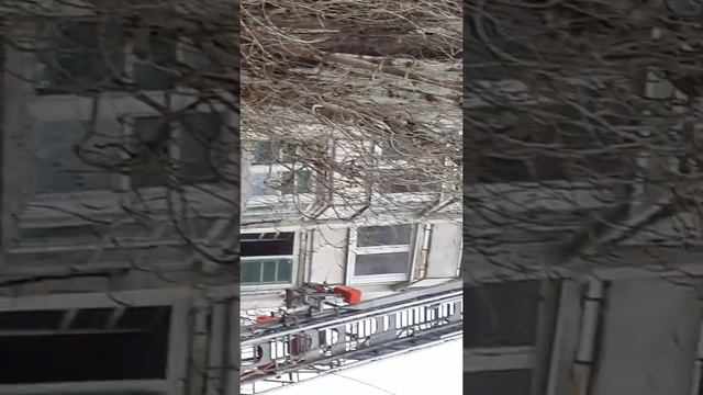 ЧП Красноармейский район, г. Волгоград.