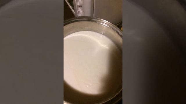 3. закваска домашнего творога из козьего молока