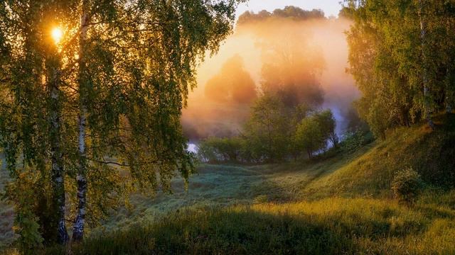 Просыпайся жизнь моя