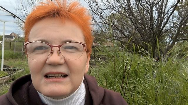 Приключения с бензокосой