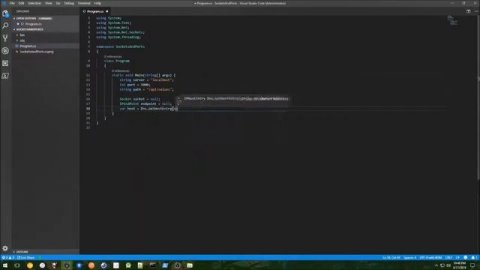 Hands-On Network Programming with C# and .NET Core | 8. Sockets and Ports
