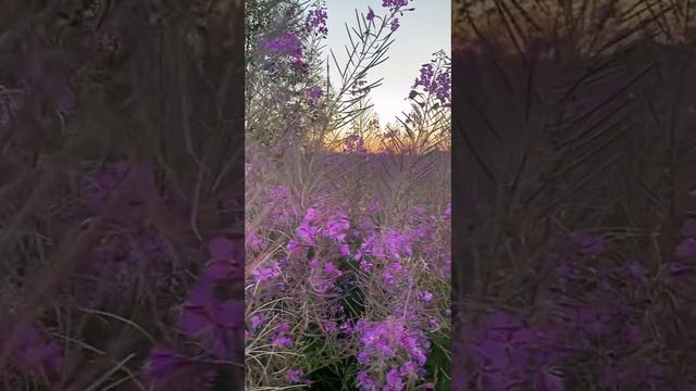 Русские деревни