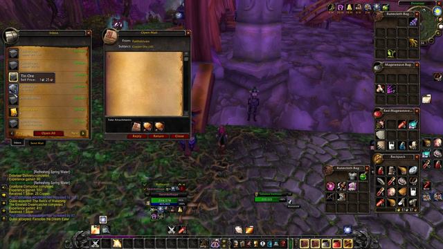 WoW Classic Protection Paladin Leveling