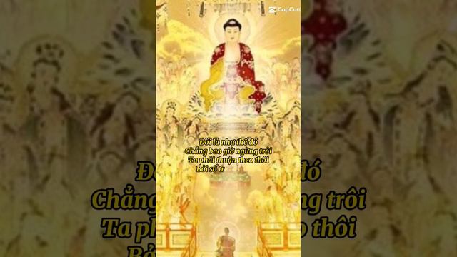 những người bạn. muốn thành Phật. kíp luân hồi. giúp mình 1 like ủng hộ nha .nam mô a Di Đà Phật.