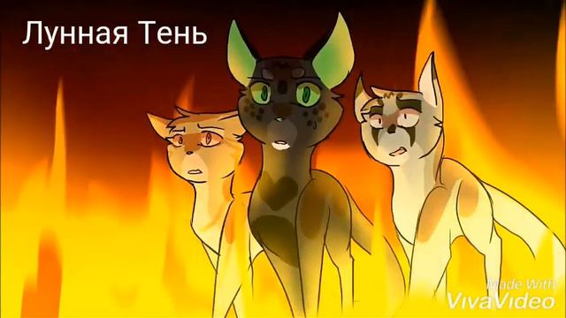 {Коты-воители}/клип/{Плакала}