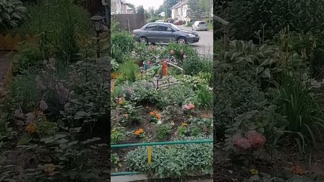 Вот такие дворики у нас в поселке