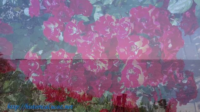 КУРОРТ СЕРГЕЕВКА - ЖЕМЧУЖИНА БЕССАРАБИИ