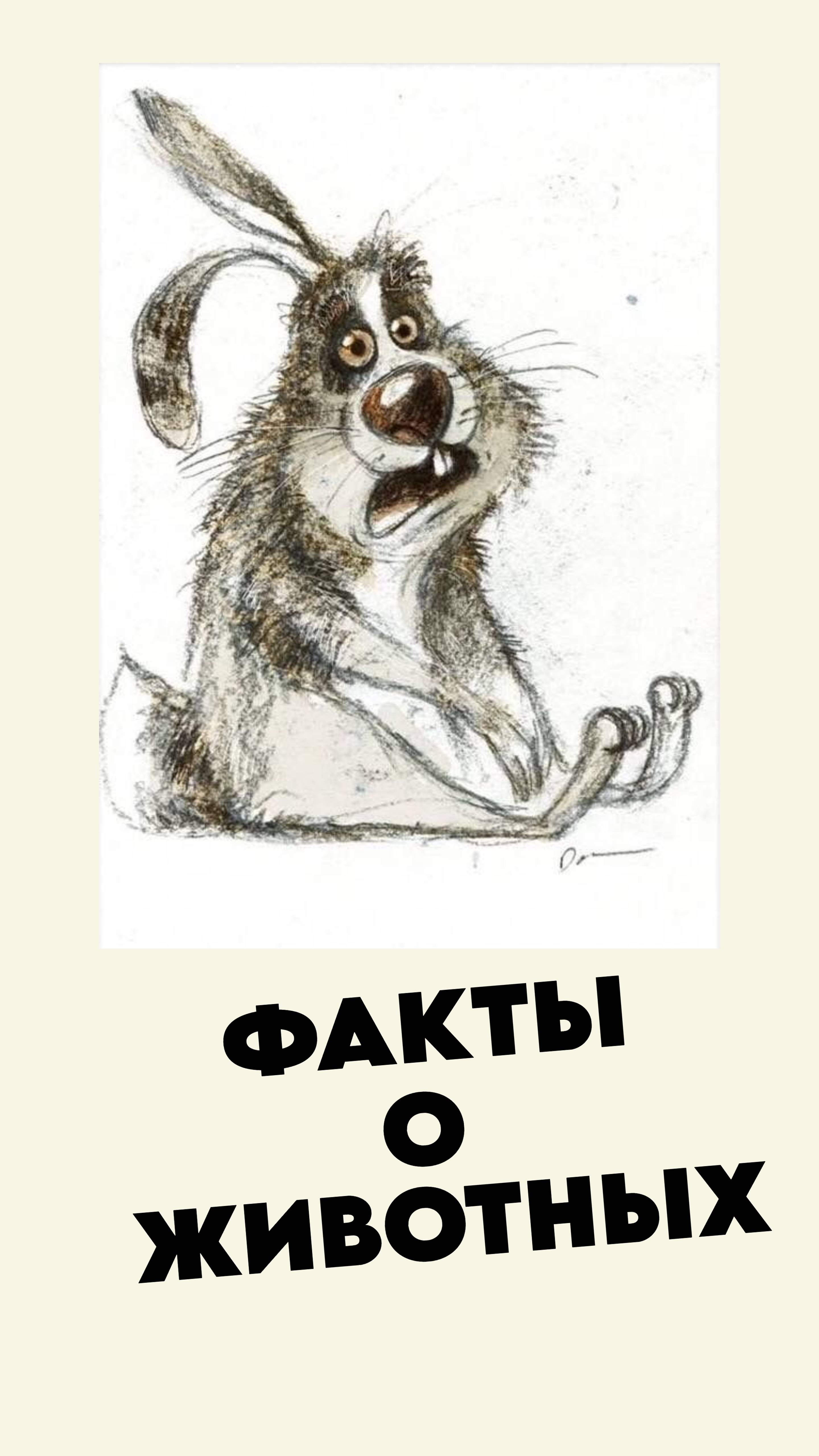 Грустные факты о животных 2