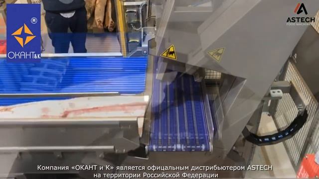 Автоматическая ленточная пила ASTECH модель SRA-D Испания.