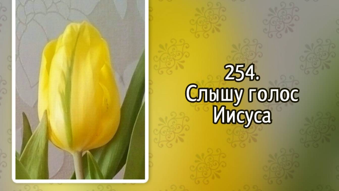 Гимны надежды 254 Слышу голос Иисуса (-)