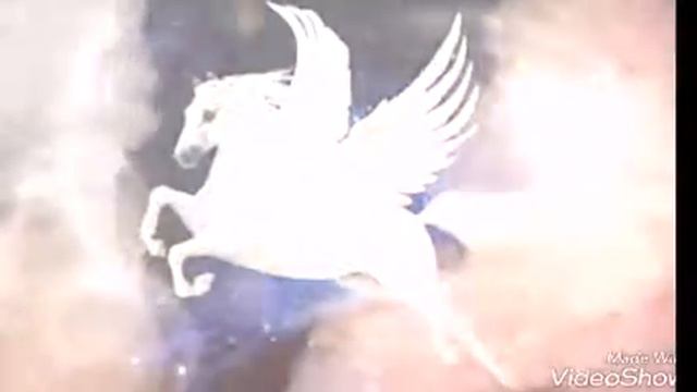 видео про красивых пегасов