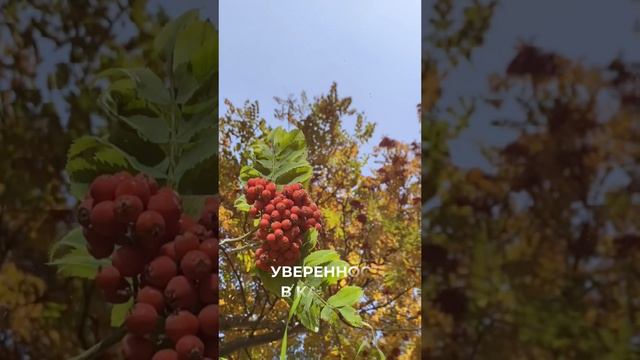 Бережный гель для мужчин #short