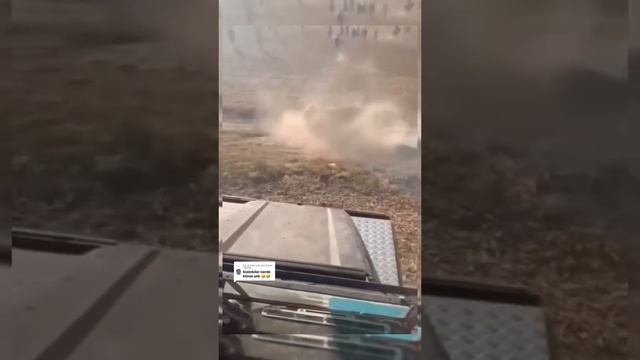 Злой бык ломает машину
