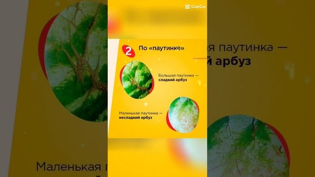 Учимся выбирать хороший арбуз!