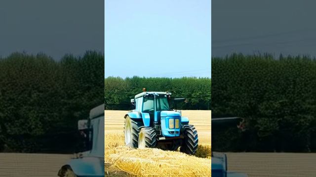 Синий трактор на ферме собирает урожай