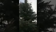 Господи Иисусе Христе Сыне Божий Помилуй мя!.mp4