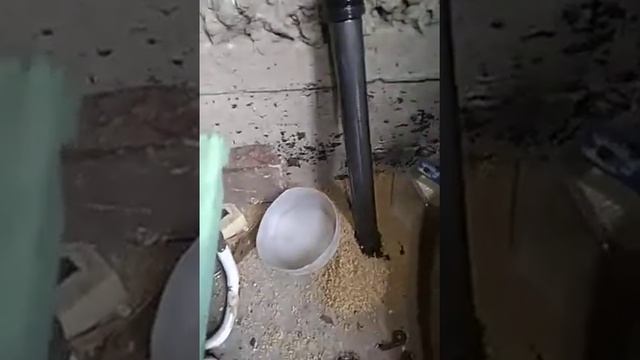 Замена патрона амортизатора стойки таврия . Марка амортизатора Hort .