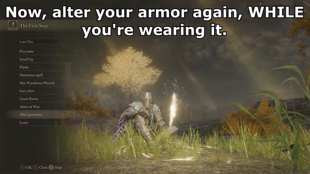 The Rarest armor in Elden Ring, unique purple cape.