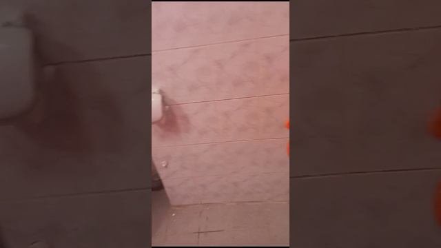 Временное пребывание.