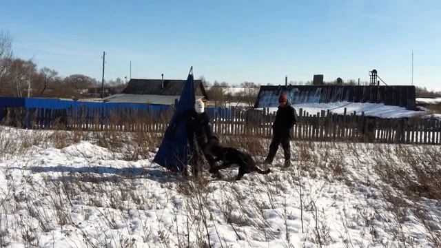 Бойга Чёрная Кобра