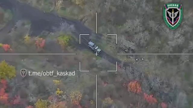 работает "ЛАНЦЕТ"