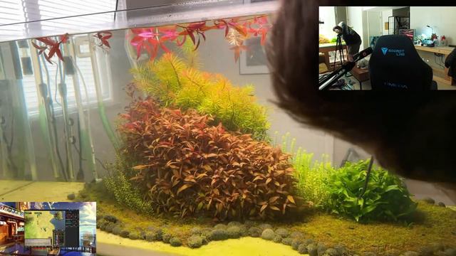 mix in a water (trimming aquarium plants, water change, final fantasy 7) 🌿 🐟