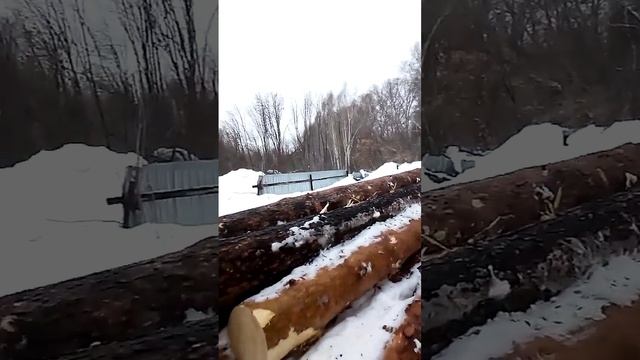 Производство пиломатериала. Новосибирск. Доска и брус. 1 и 2 сорт. Без сухостоя и гнили