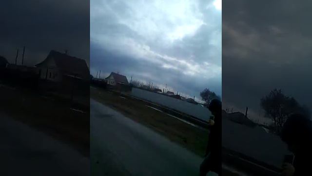 Друзья гуляют