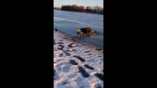ПРИКОЛЫ РЫБАЛКА ЛУЧШЕЕ
