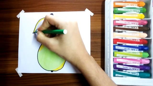 How to draw Pear fruits with oil pastel color for the beginners 🍐