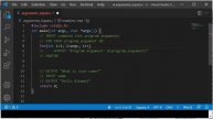C - Command line arguments and user keyboard input