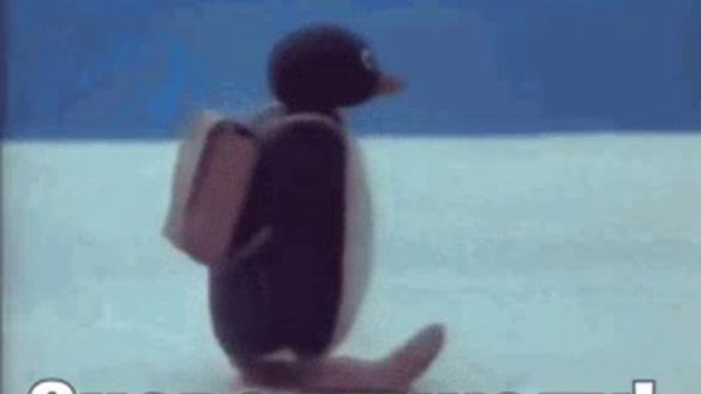 1000003059.mp4