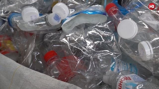 Япомогабокс: пластикові пляшки перетворюються на корм для безпритульних тварин
