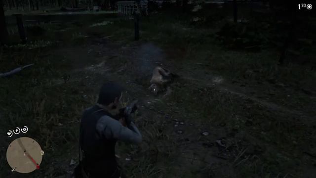 Red Dead Redemption 2 | Puma bug