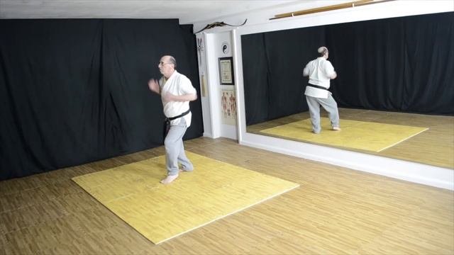 New BoxKata / Advanced Shotokan Kata 6
