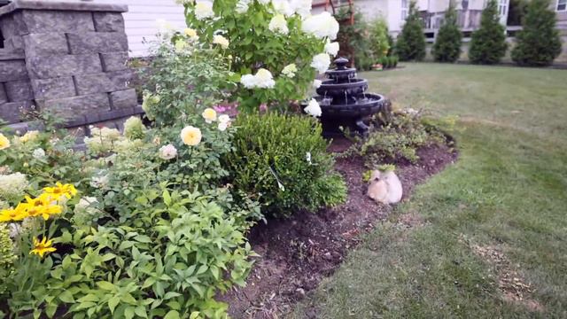 Garden Cleanup (planting boxwoods, transplanting blueberries, cleaning out the vegetable garden)
